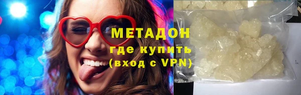 прущие грибы Абаза