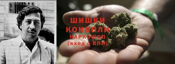 прущие грибы Абаза