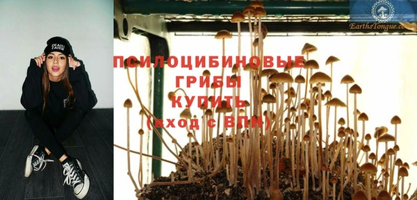 дживик Абинск