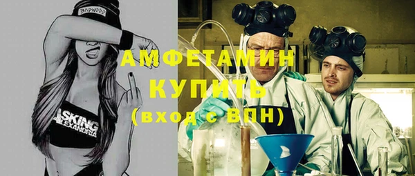 прущие грибы Абаза