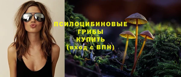 прущие грибы Абаза