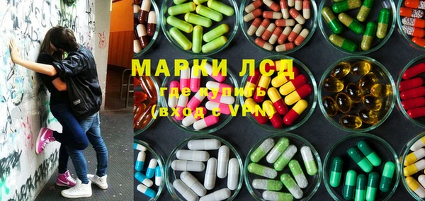 прущие грибы Абаза